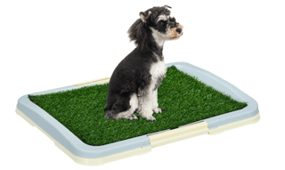 Toaletă pentru Căței Puppy Trainer, Învață Cățelul Curățenia