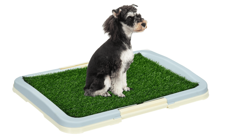 Toaletă pentru Căței Puppy Trainer, Învață Cățelul Curățenia
